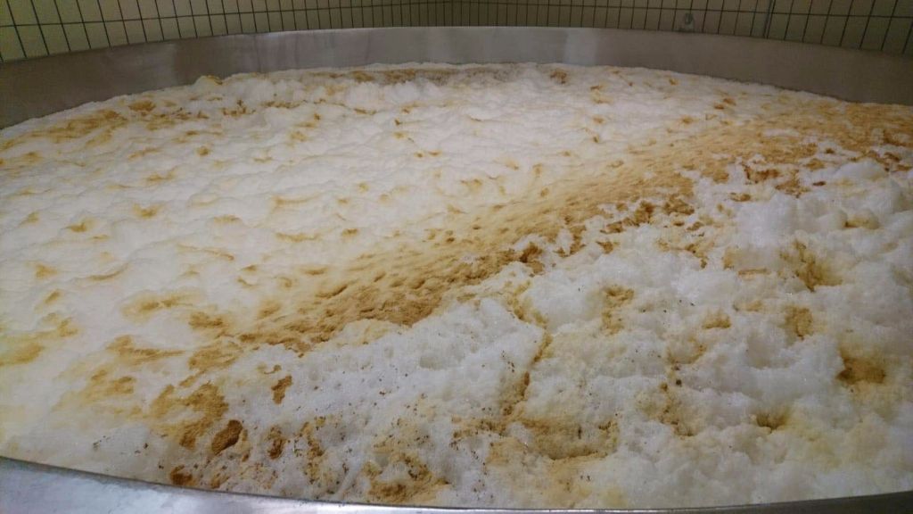 發(fā)酵啤酒可以不使用啤酒酵母嗎？